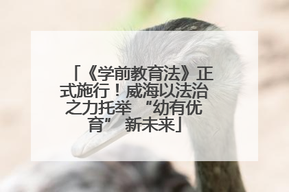 《学前教育法》正式施行！威海以法治之力托举 “幼有优育” 新未来