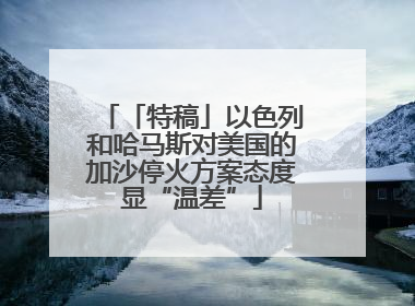 「特稿」以色列和哈马斯对美国的加沙停火方案态度显“温差”