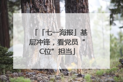 「七一海报」基层冲锋，看党员“C位”担当