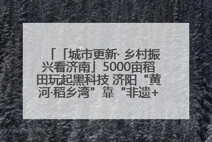 「城市更新· 乡村振兴看济南」5000亩稻田玩起黑科技 济阳“黄河·稻乡湾”靠“非遗+露营”火出圈