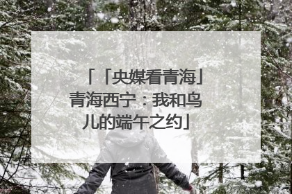 「央媒看青海」青海西宁：我和鸟儿的端午之约