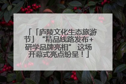 「庐陵文化生态旅游节」“精品线路发布+研学品牌亮相” 这场开幕式亮点纷呈！