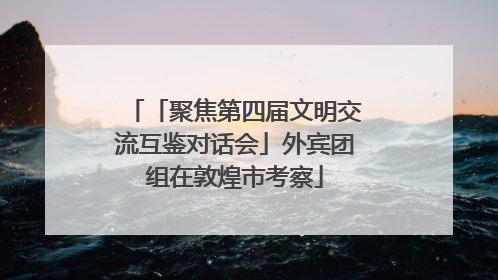 「聚焦第四届文明交流互鉴对话会」外宾团组在敦煌市考察