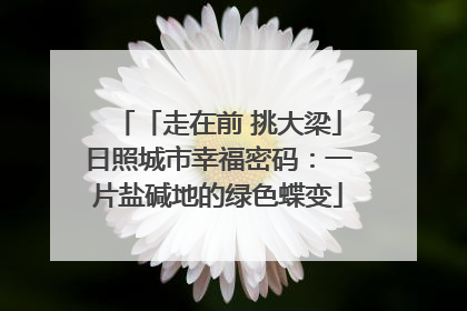 「走在前 挑大梁」日照城市幸福密码：一片盐碱地的绿色蝶变