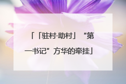 「驻村·助村」“第一书记”方华的牵挂