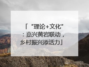 “理论+文化”：嘉兴黄岩联动，乡村振兴添活力