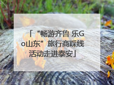 “畅游齐鲁 乐Go山东”旅行商踩线活动走进泰安
