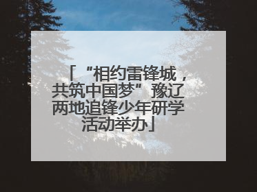 “相约雷锋城,共筑中国梦”豫辽两地追锋少年研学活动举办