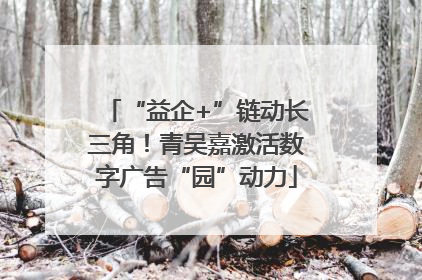 “益企+”链动长三角！青吴嘉激活数字广告“园”动力