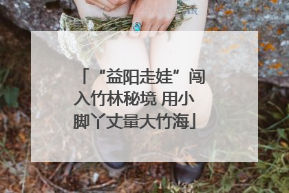 “益阳走娃”闯入竹林秘境 用小脚丫丈量大竹海