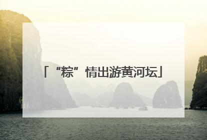 “粽”情出游黄河坛
