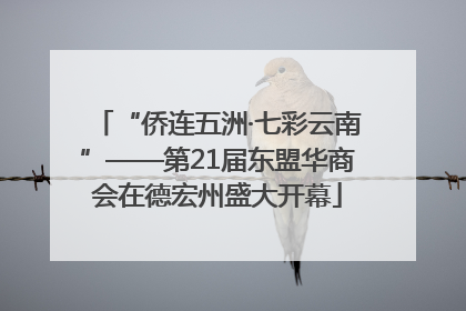 “侨连五洲·七彩云南”——第21届东盟华商会在德宏州盛大开幕