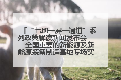 “七地一屏一通道”系列政策解读新闻发布会——全国重要的新能源及新能源装备制造基地专场实录（文+图）