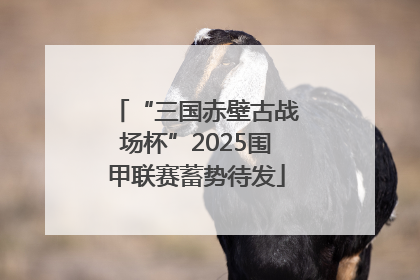 “三国赤壁古战场杯”2025围甲联赛蓄势待发