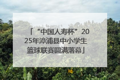 “中国人寿杯”2025年漳浦县中小学生篮球联赛圆满落幕