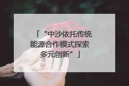 “中沙依托传统能源合作模式探索多元创新”