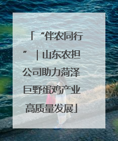 “伴农同行”｜山东农担公司助力菏泽巨野蛋鸡产业高质量发展