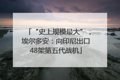 “史上规模最大”，埃尔多安：向印尼出口48架第五代战机