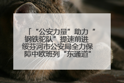 “公安力量”助力“钢铁驼队”提速前进 绥芬河市公安局全力保障中欧班列“东通道”绥芬河隧道贯通