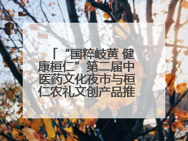 “国粹岐黄 健康桓仁”第二届中医药文化夜市与桓仁农礼文创产品推介会圆满举办
