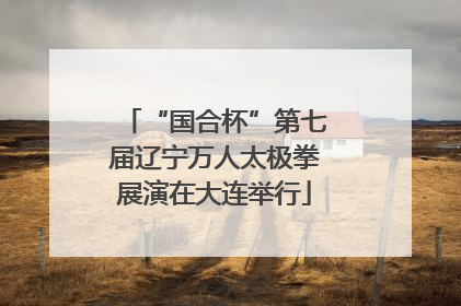 “国合杯”第七届辽宁万人太极拳展演在大连举行