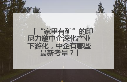 “家里有矿”的印尼力邀中企深化产业下游化，中企有哪些最新考量？