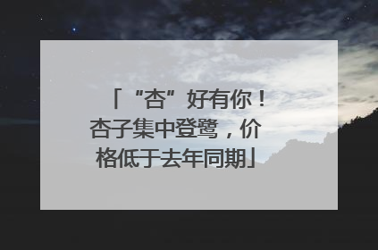 “杏”好有你！杏子集中登鹭，价格低于去年同期