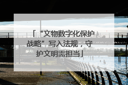 “文物数字化保护战略”写入法规，守护文明需担当