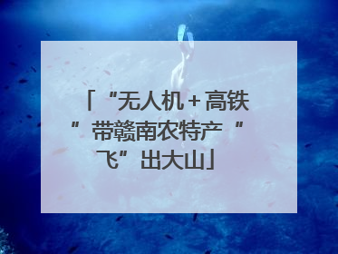 “无人机＋高铁”带赣南农特产“飞”出大山