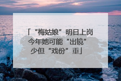 “梅姑娘”明日上岗 今年她可能“出镜”少但“戏份”重
