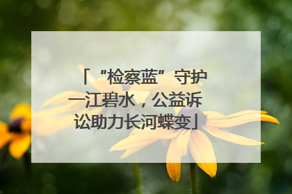 “检察蓝”守护一江碧水，公益诉讼助力长河蝶变