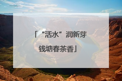 “活水”润新芽 钱塘春茶香