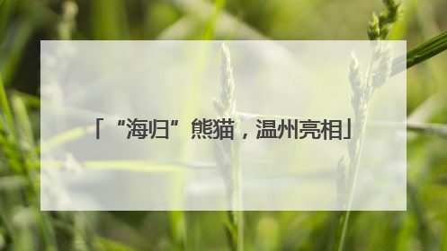 “海归”熊猫，温州亮相
