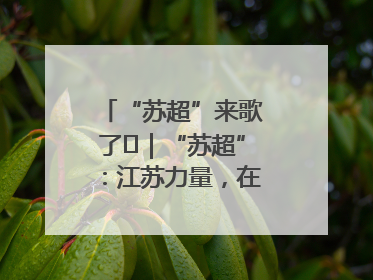 “苏超”来歌了⑪｜“苏超”：江苏力量，在这里聚焦