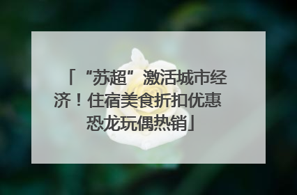 “苏超”激活城市经济！住宿美食折扣优惠 恐龙玩偶热销