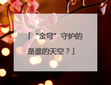 “金穹”守护的是谁的天空？