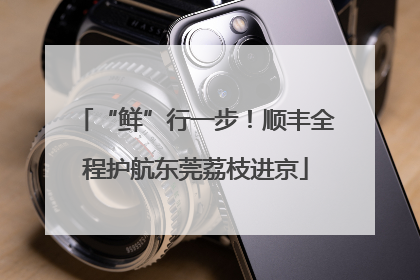 “鲜”行一步！顺丰全程护航东莞荔枝进京