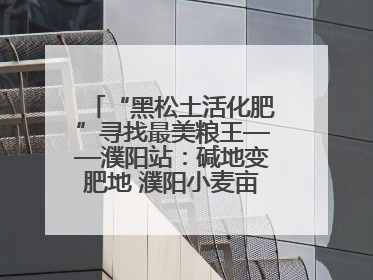 “黑松土活化肥”寻找最美粮王——濮阳站：碱地变肥地 濮阳小麦亩产1500多斤