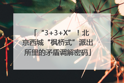 “3+3+X”！北京西城“枫桥式”派出所里的矛盾调解密码