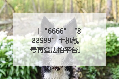 “6666”“888999”手机靓号再登法拍平台