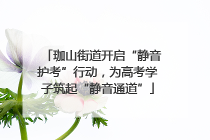 珈山街道开启“静音护考”行动，为高考学子筑起“静音通道”