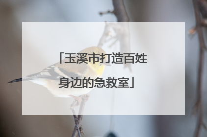 玉溪市打造百姓身边的急救室