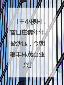 王小楼村：昔日庄稼年年被沙压，今朝粮丰林茂百业兴