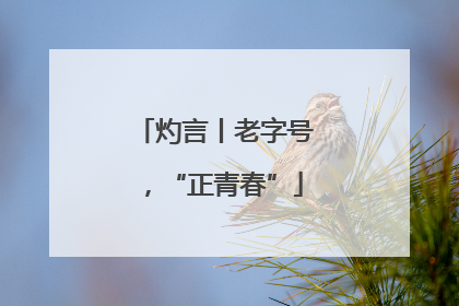 灼言丨老字号，“正青春”