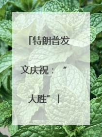 特朗普发文庆祝：“大胜”