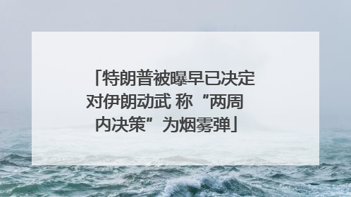 特朗普被曝早已决定对伊朗动武 称“两周内决策”为烟雾弹