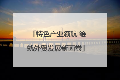 特色产业领航 绘就外贸发展新画卷