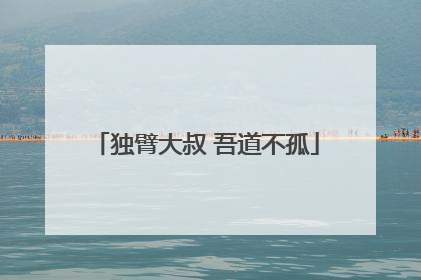 独臂大叔 吾道不孤