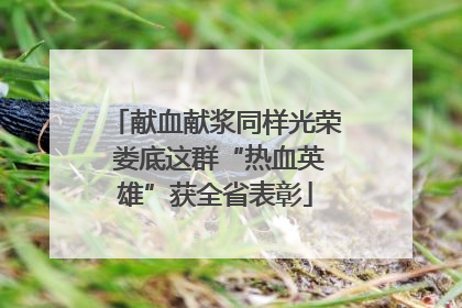 献血献浆同样光荣 娄底这群“热血英雄”获全省表彰