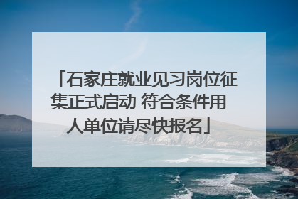 石家庄就业见习岗位征集正式启动 符合条件用人单位请尽快报名
